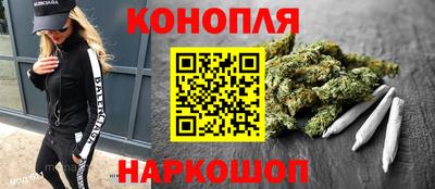 крисы Моздок