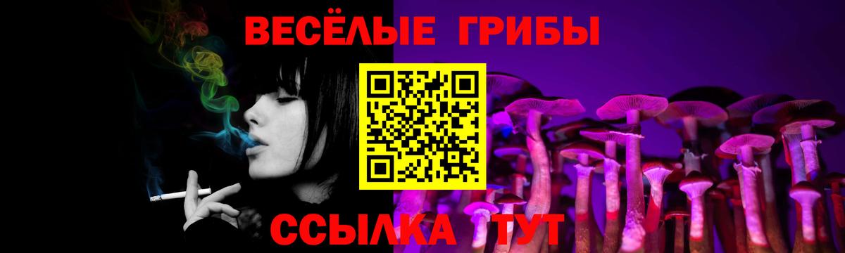 Псилоцибиновые грибы Cubensis Черногорск