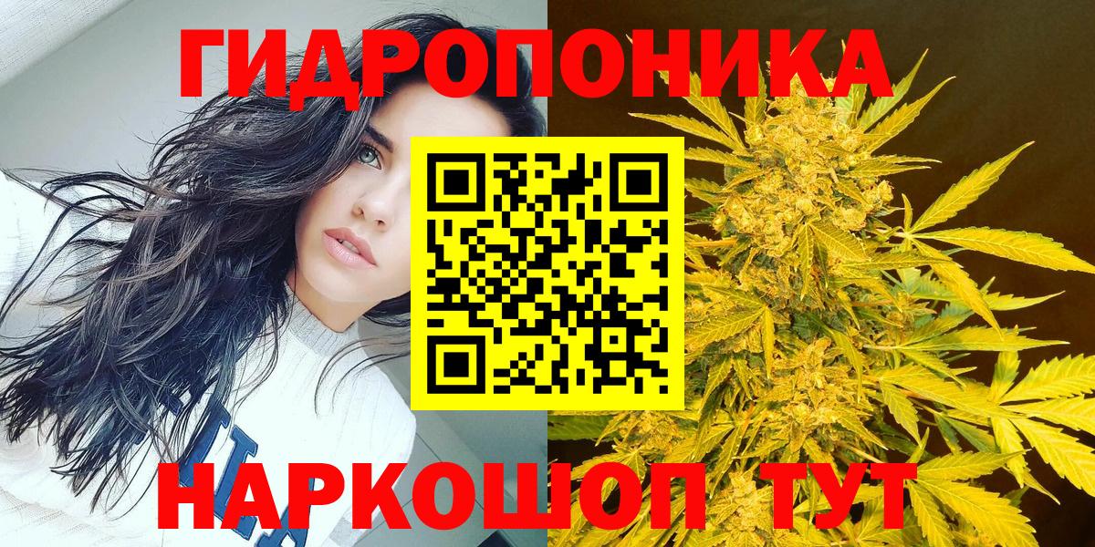 Бошки марихуана семена Черногорск